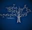 Panacea IQP — the Interactive Query Portal by Panacea Bio Chem, Bogdan Dicoias